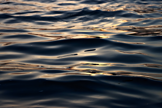 maabhasanlens-water-8053999_1920.png