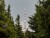 czech-republic-3248218_1920.jpg