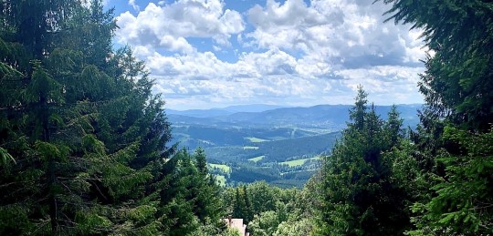 img_5246.jpeg