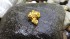 hans-gold-4333047.jpg