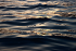 maabhasanlens-water-8053999_1920.png