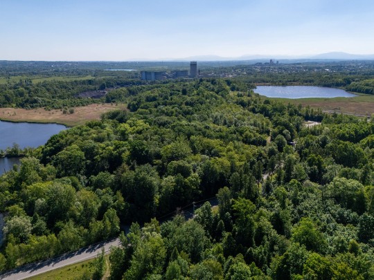 dji_20260526101315_0863_d.jpg
